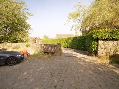 Picture 15